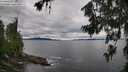 ./images/koeye/fitz-hugh/20260712/fitz-hugh20260712_100501M.jpg