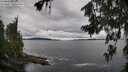 ./images/koeye/fitz-hugh/20260712/fitz-hugh20260712_101501M.jpg