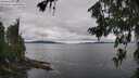 ./images/koeye/fitz-hugh/20260712/fitz-hugh20260712_102501M.jpg