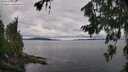 ./images/koeye/fitz-hugh/20260712/fitz-hugh20260712_103501M.jpg
