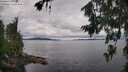 ./images/koeye/fitz-hugh/20260712/fitz-hugh20260712_104002M.jpg