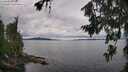 ./images/koeye/fitz-hugh/20260712/fitz-hugh20260712_104501M.jpg
