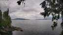 ./images/koeye/fitz-hugh/20260712/fitz-hugh20260712_105501M.jpg