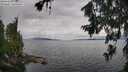 ./images/koeye/fitz-hugh/20260712/fitz-hugh20260712_110501M.jpg
