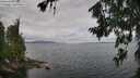 ./images/koeye/fitz-hugh/20260712/fitz-hugh20260712_111501M.jpg