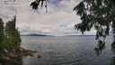 ./images/koeye/fitz-hugh/20260712/fitz-hugh20260712_112501M.jpg