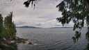./images/koeye/fitz-hugh/20260712/fitz-hugh20260712_113001M.jpg