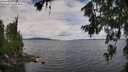 ./images/koeye/fitz-hugh/20260712/fitz-hugh20260712_113501M.jpg