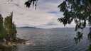 ./images/koeye/fitz-hugh/20260712/fitz-hugh20260712_114002M.jpg