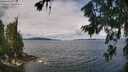 ./images/koeye/fitz-hugh/20260712/fitz-hugh20260712_114501M.jpg