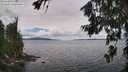 ./images/koeye/fitz-hugh/20260712/fitz-hugh20260712_120501M.jpg