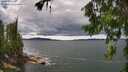 ./images/koeye/fitz-hugh/20260712/fitz-hugh20260712_142501M.jpg