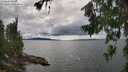 ./images/koeye/fitz-hugh/20260712/fitz-hugh20260712_154001M.jpg
