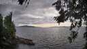 ./images/koeye/fitz-hugh/20260712/fitz-hugh20260712_181001M.jpg