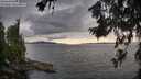 ./images/koeye/fitz-hugh/20260712/fitz-hugh20260712_191001M.jpg