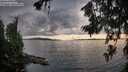 ./images/koeye/fitz-hugh/20260712/fitz-hugh20260712_201001M.jpg