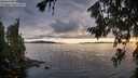 ./images/koeye/fitz-hugh/20260712/fitz-hugh20260712_205501M.jpg