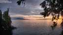 ./images/koeye/fitz-hugh/20260712/fitz-hugh20260712_220002M.jpg
