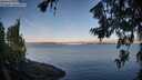 ./images/koeye/fitz-hugh/20260713/fitz-hugh20260713_064501M.jpg