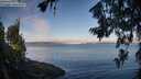 ./images/koeye/fitz-hugh/20260713/fitz-hugh20260713_070501M.jpg
