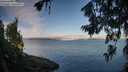 ./images/koeye/fitz-hugh/20260713/fitz-hugh20260713_072001M.jpg