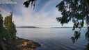 ./images/koeye/fitz-hugh/20260713/fitz-hugh20260713_085001M.jpg