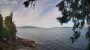 ./images/koeye/fitz-hugh/20260713/fitz-hugh20260713_094501M.jpg