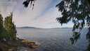 ./images/koeye/fitz-hugh/20260713/fitz-hugh20260713_095001M.jpg