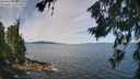 ./images/koeye/fitz-hugh/20260713/fitz-hugh20260713_105001M.jpg