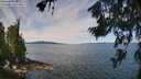 ./images/koeye/fitz-hugh/20260713/fitz-hugh20260713_113001M.jpg