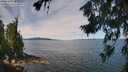 ./images/koeye/fitz-hugh/20260713/fitz-hugh20260713_113501M.jpg