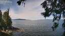 ./images/koeye/fitz-hugh/20260713/fitz-hugh20260713_114501M.jpg