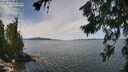 ./images/koeye/fitz-hugh/20260713/fitz-hugh20260713_124001M.jpg