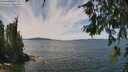 ./images/koeye/fitz-hugh/20260713/fitz-hugh20260713_133501M.jpg