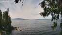 ./images/koeye/fitz-hugh/20260713/fitz-hugh20260713_142001M.jpg