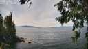 ./images/koeye/fitz-hugh/20260713/fitz-hugh20260713_143501M.jpg