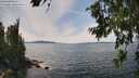 ./images/koeye/fitz-hugh/20260713/fitz-hugh20260713_145501M.jpg