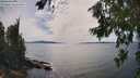 ./images/koeye/fitz-hugh/20260713/fitz-hugh20260713_155001M.jpg