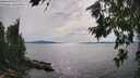 ./images/koeye/fitz-hugh/20260713/fitz-hugh20260713_162501M.jpg