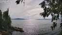 ./images/koeye/fitz-hugh/20260713/fitz-hugh20260713_163501M.jpg