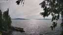 ./images/koeye/fitz-hugh/20260713/fitz-hugh20260713_165501M.jpg