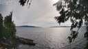 ./images/koeye/fitz-hugh/20260713/fitz-hugh20260713_174501M.jpg