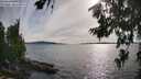 ./images/koeye/fitz-hugh/20260713/fitz-hugh20260713_181502M.jpg