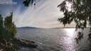 ./images/koeye/fitz-hugh/20260713/fitz-hugh20260713_185001M.jpg