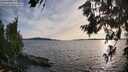 ./images/koeye/fitz-hugh/20260713/fitz-hugh20260713_192502M.jpg
