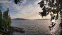 ./images/koeye/fitz-hugh/20260713/fitz-hugh20260713_193501M.jpg