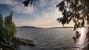 ./images/koeye/fitz-hugh/20260713/fitz-hugh20260713_201001M.jpg