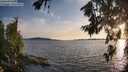 ./images/koeye/fitz-hugh/20260713/fitz-hugh20260713_203002M.jpg