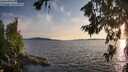 ./images/koeye/fitz-hugh/20260713/fitz-hugh20260713_203501M.jpg