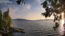 ./images/koeye/fitz-hugh/20260713/fitz-hugh20260713_204001M.jpg